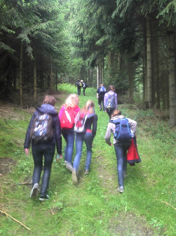 Ist das noch ein Weg?